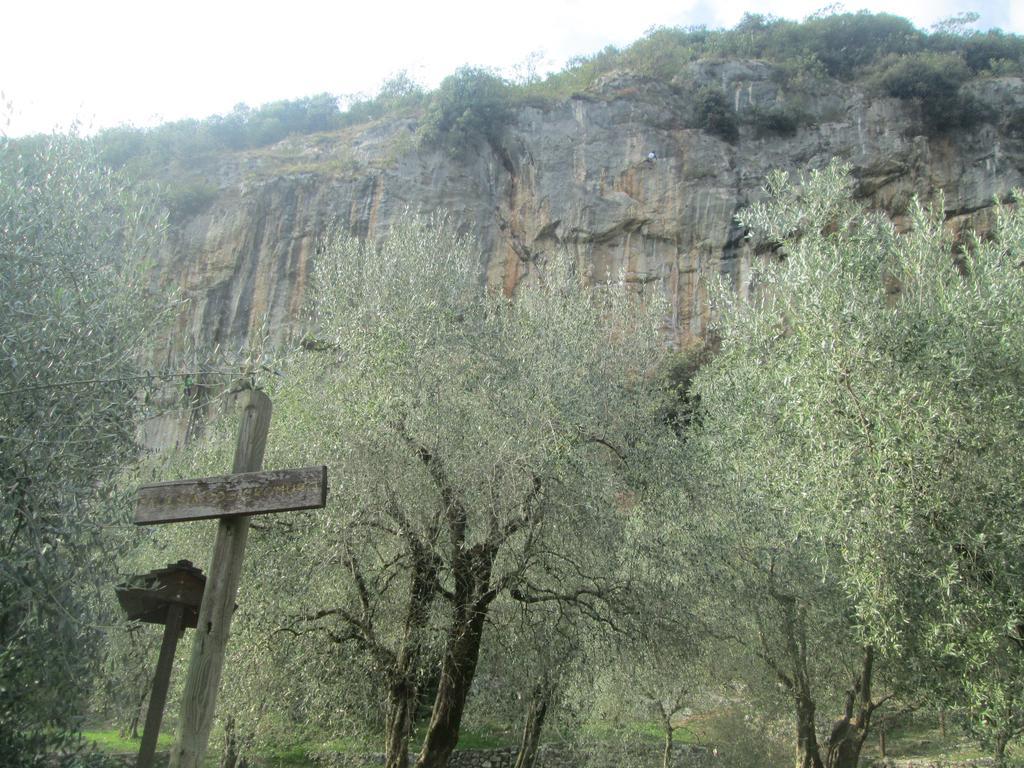 Massone Climbing Home Arco Buitenkant foto